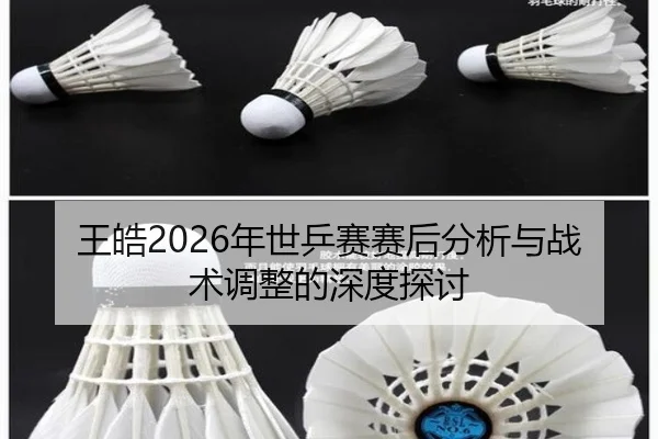 王皓2026年世乒赛赛后分析与战术调整的深度探讨