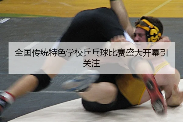 quan-guo-chuan-tong-te-se-xue-xiao-ping-pang-qiu-bi-sai-sheng-da-kai-mu-yin-guan-zhu-2-275.jpg